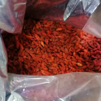 Goji Berries Bulk