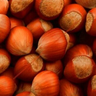 Hazelnuts In Shell Whole